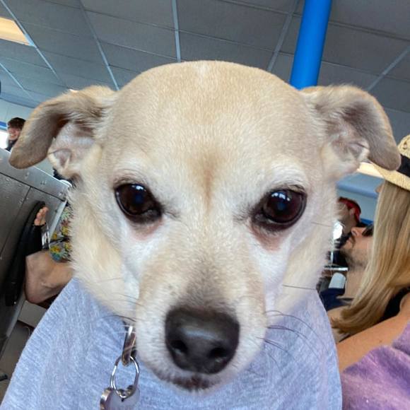 Meet your Posher, Kristen - Picture 1 of 1